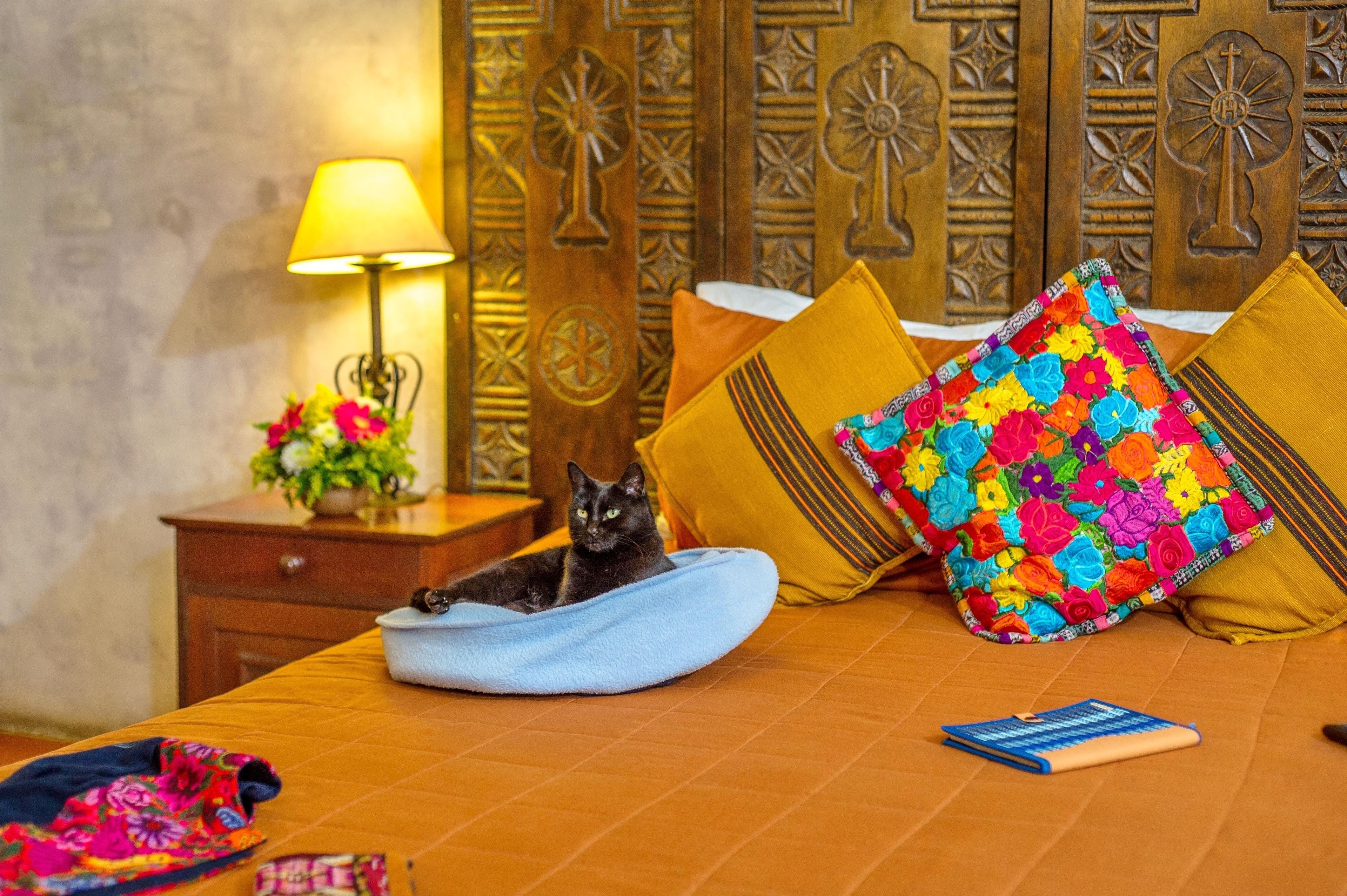 A bed with a black cat, colorful pillows, a lamp, and a book.