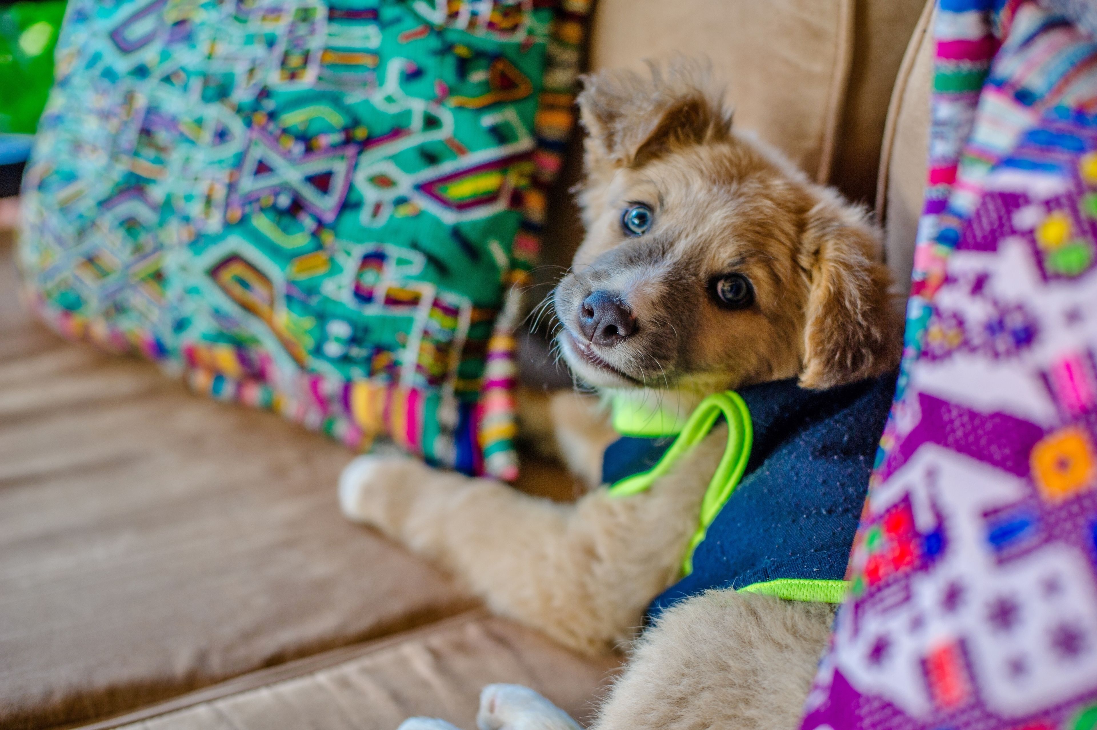 Photo - Hotel Convento Santa Catalina by AHS