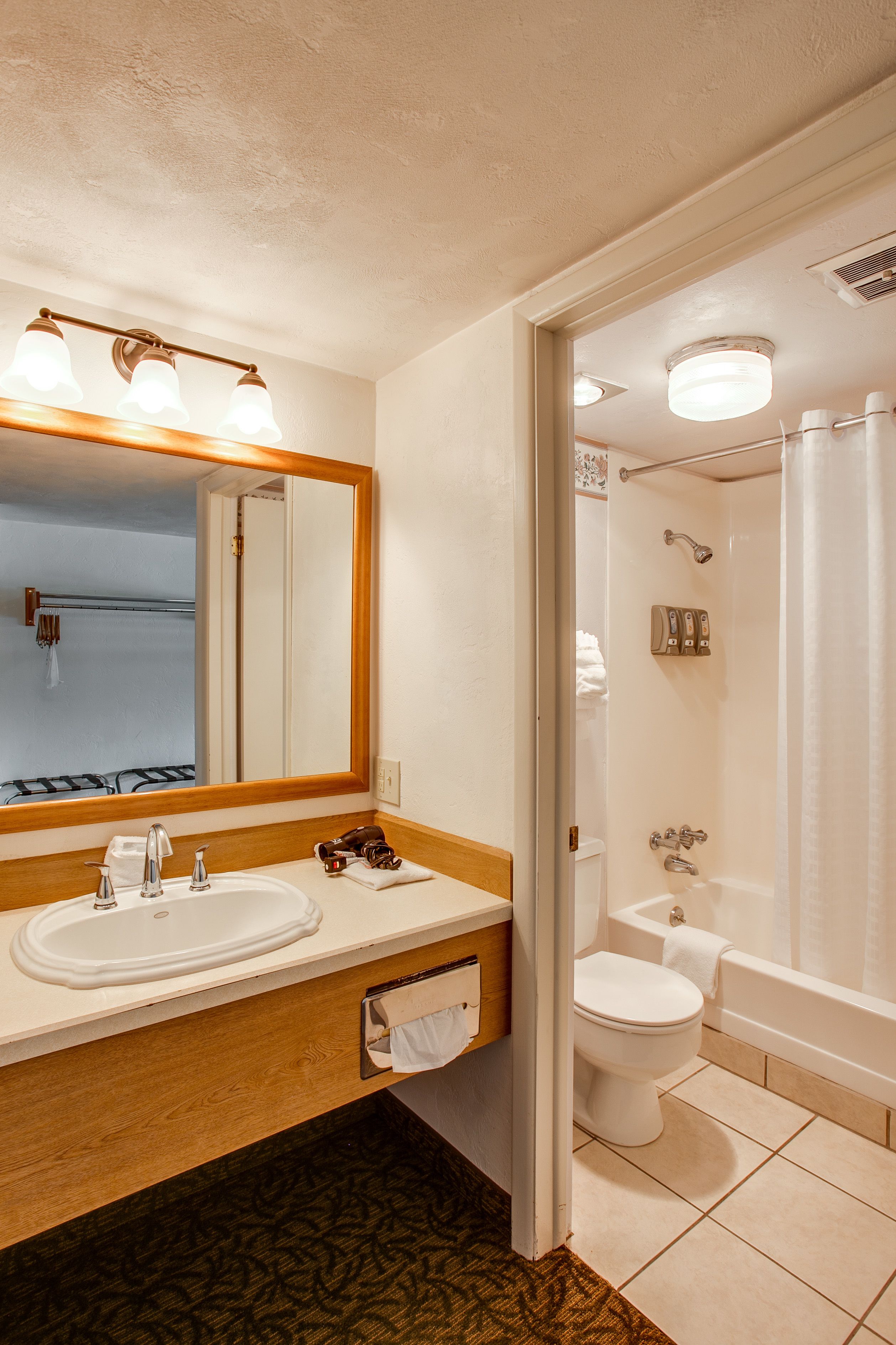 combined shower/bathtub, free toiletries, hair dryer, towels