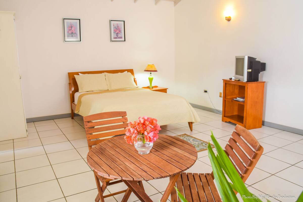 A bedroom with a bed, a wooden table with chairs, a TV on a stand, and a vase with flowers.