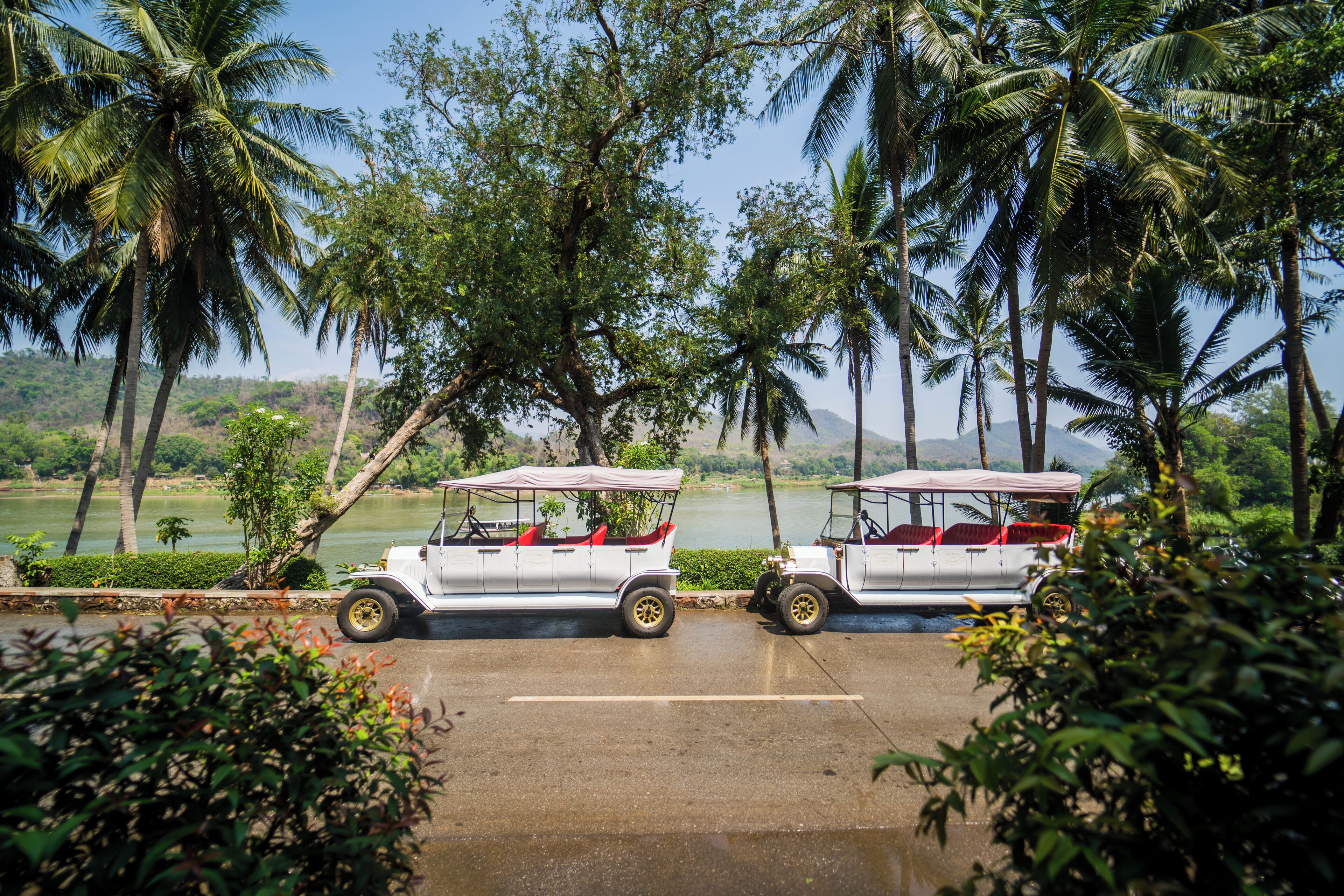 Two white safari vehicles parked in a line with a lake and palm trees in the background.