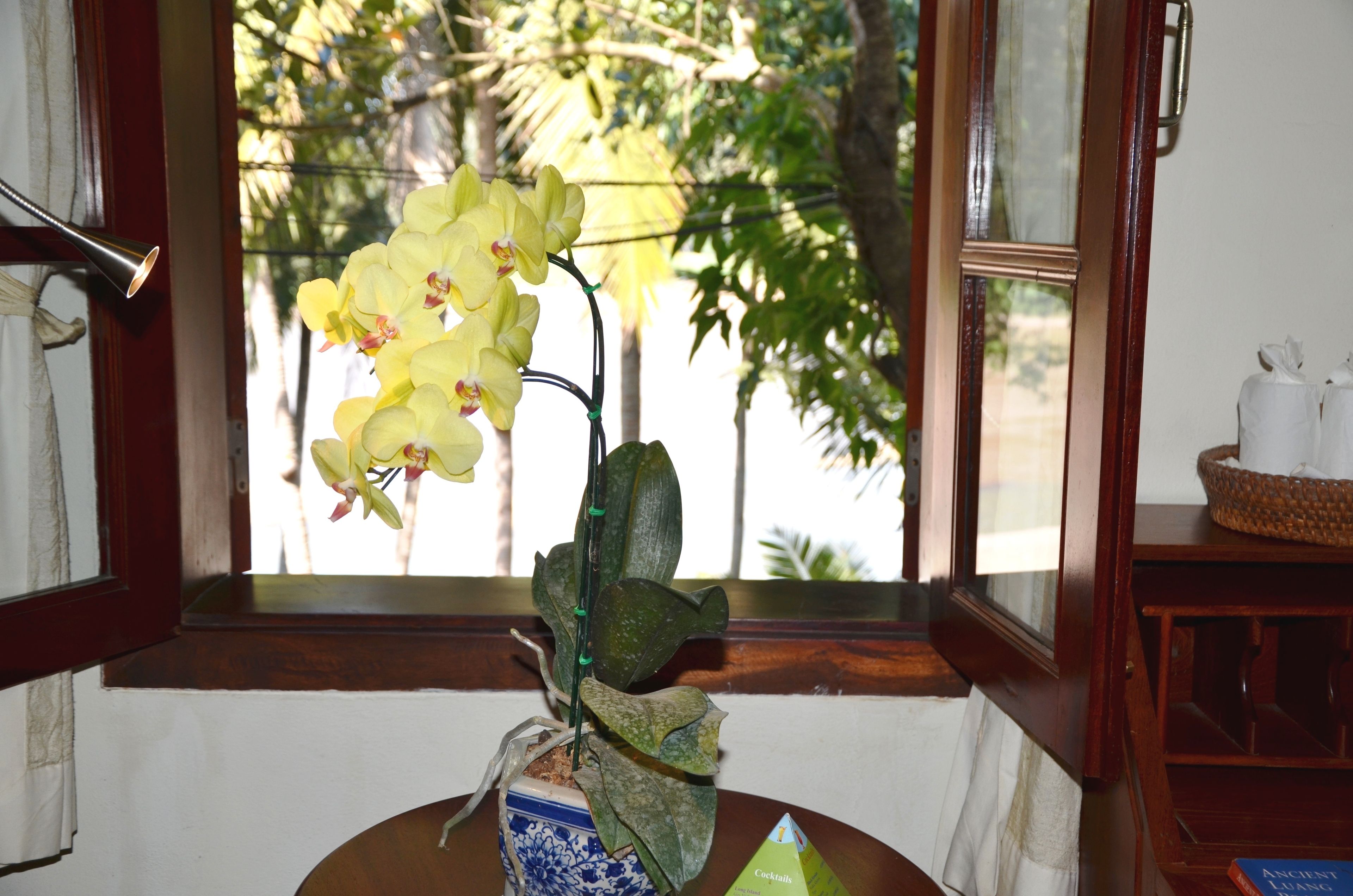 standard river view - double | view from room