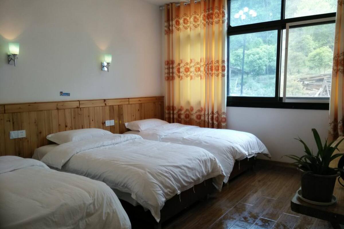 Una habitación con tres camas, cabeceros de madera, un ventanal con cortinas y una planta en maceta.