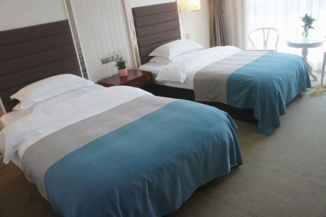 Two beds with headboards, a bedside table with a lamp, and a small round table with a plant.