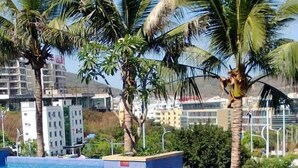 Unclassified image, 5 of 117, button - Confer Haiting Hotel Sanya (Sanya)