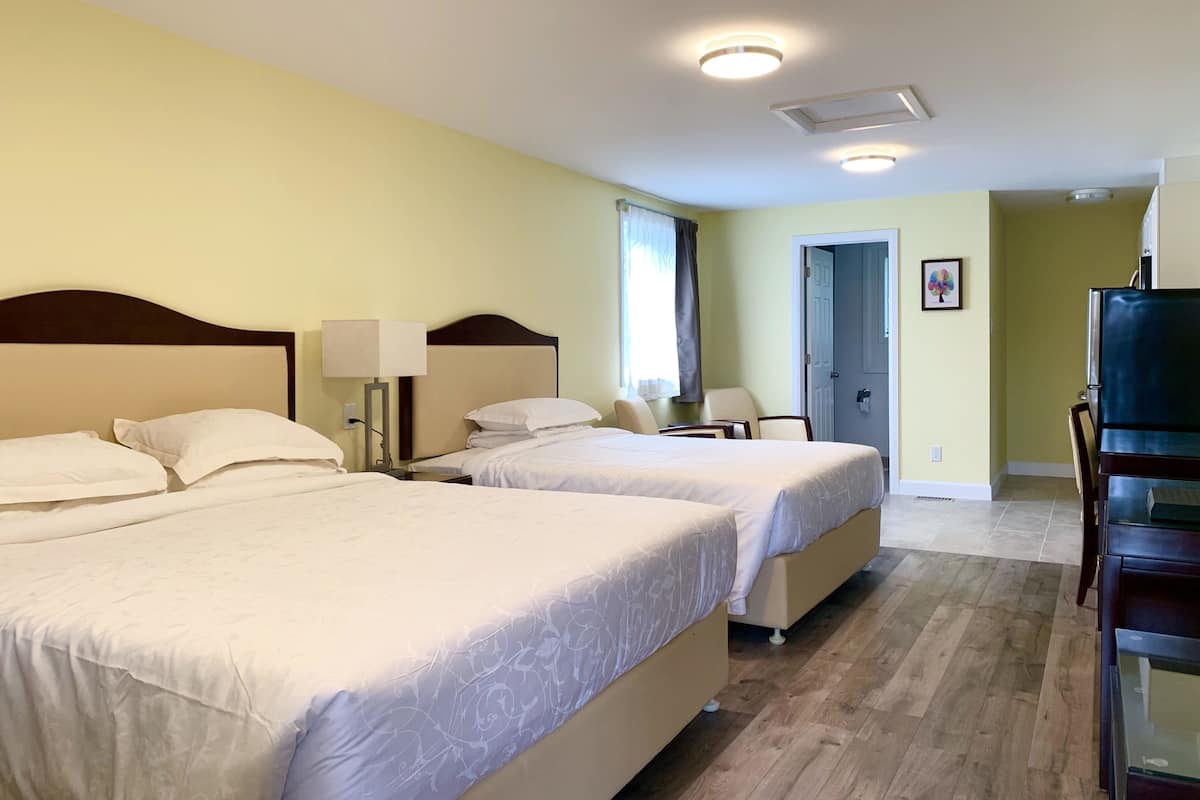 Premium Studio Suite | Living area