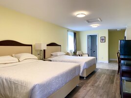 Premium Studio Suite | Living area | 43-inch LED TV with satellite channels, TV