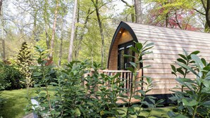 Una cabaña de madera con techo curvo, rodeada de abundante vegetación y árboles.