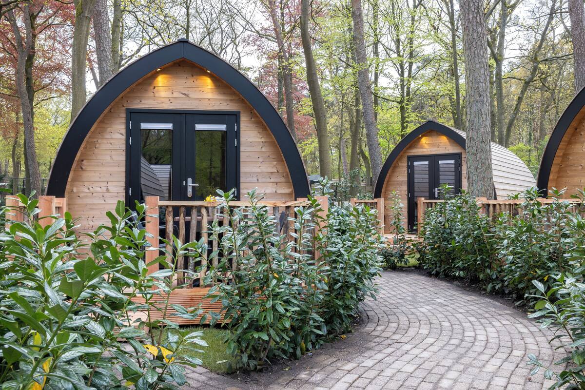 Dos cabañas de madera con detalles negros, rodeadas de un bosque y un sendero pavimentado.