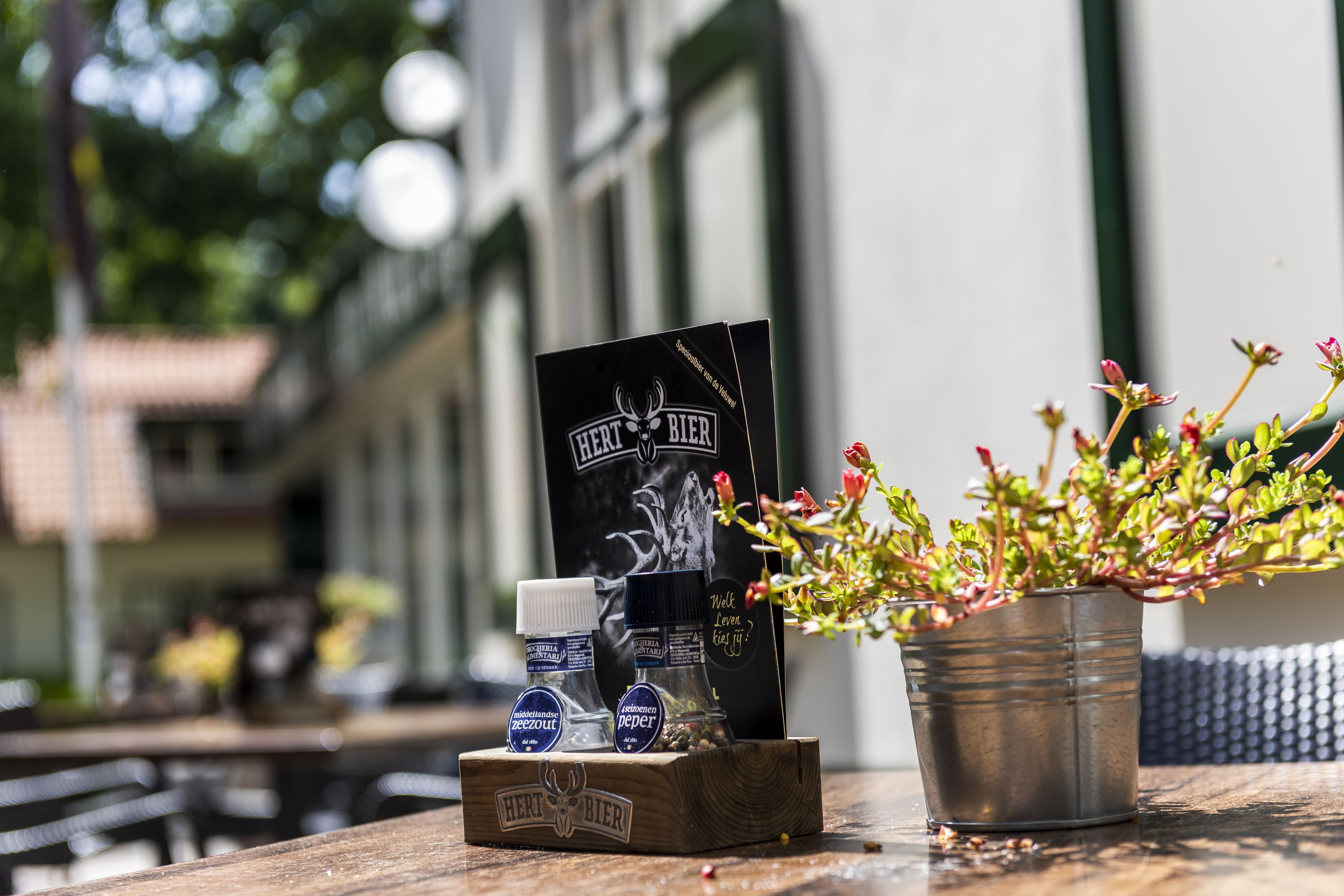A wooden box with a beer bottle and a plant on a table outside a building.