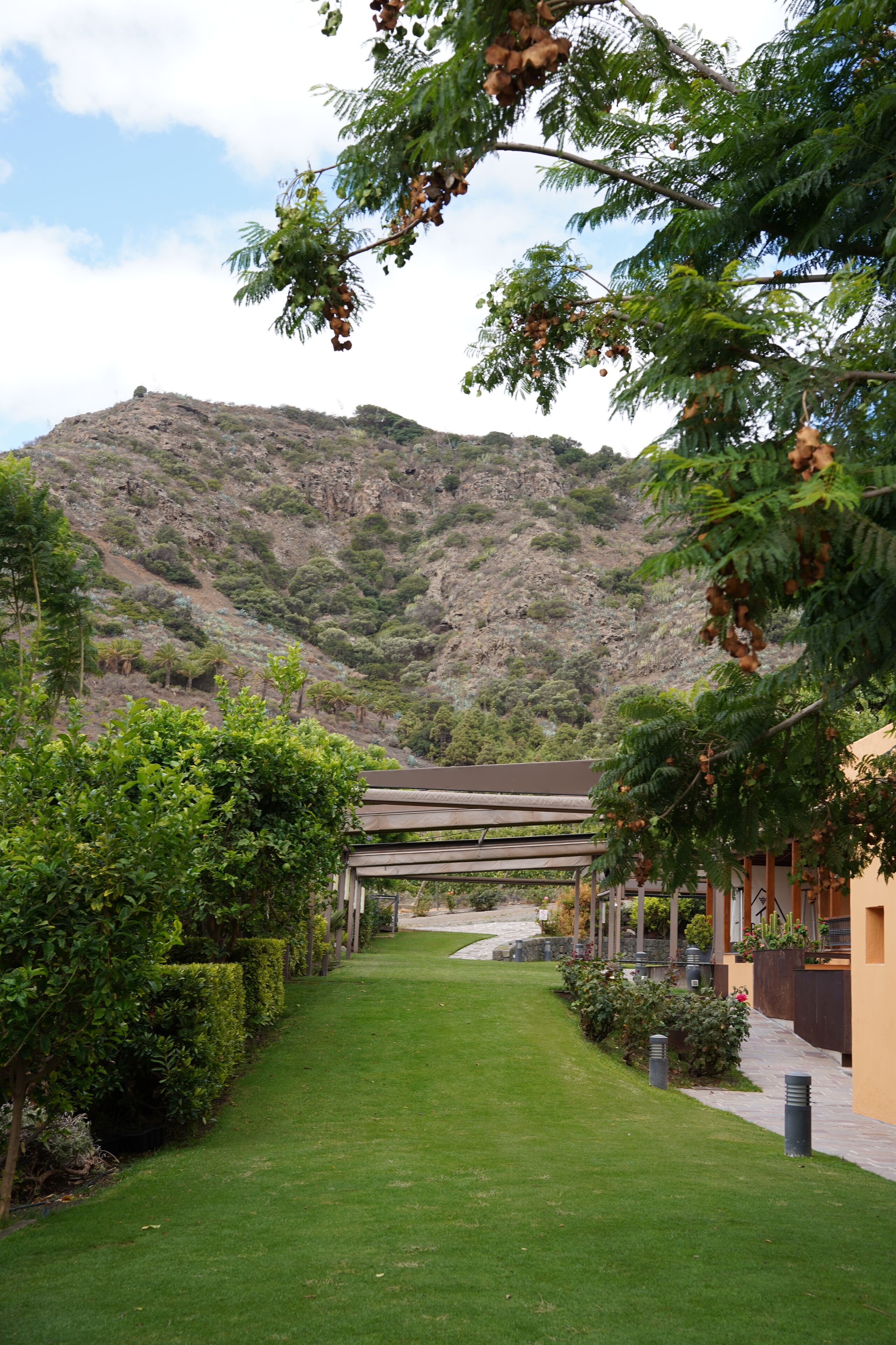 Un jardín bien cuidado con un sendero que lleva a un edificio, rodeado de abundante vegetación y un telón de fondo montañoso.