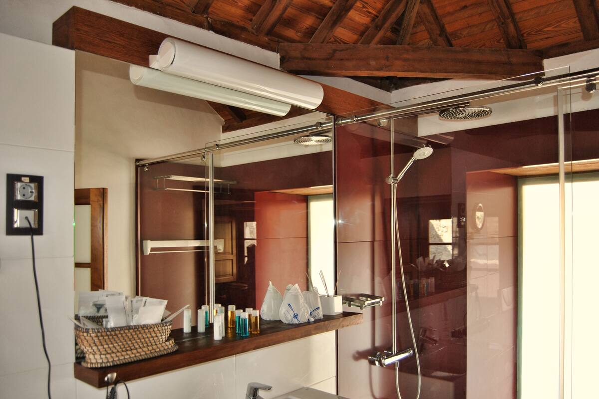 double room | bathroom shower