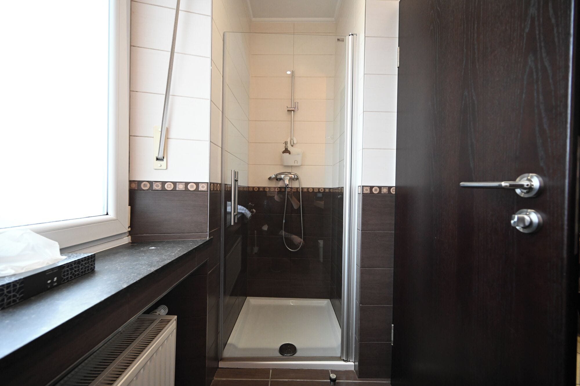 A modern bathroom with a glass shower enclosure, a toilet, and a sink.