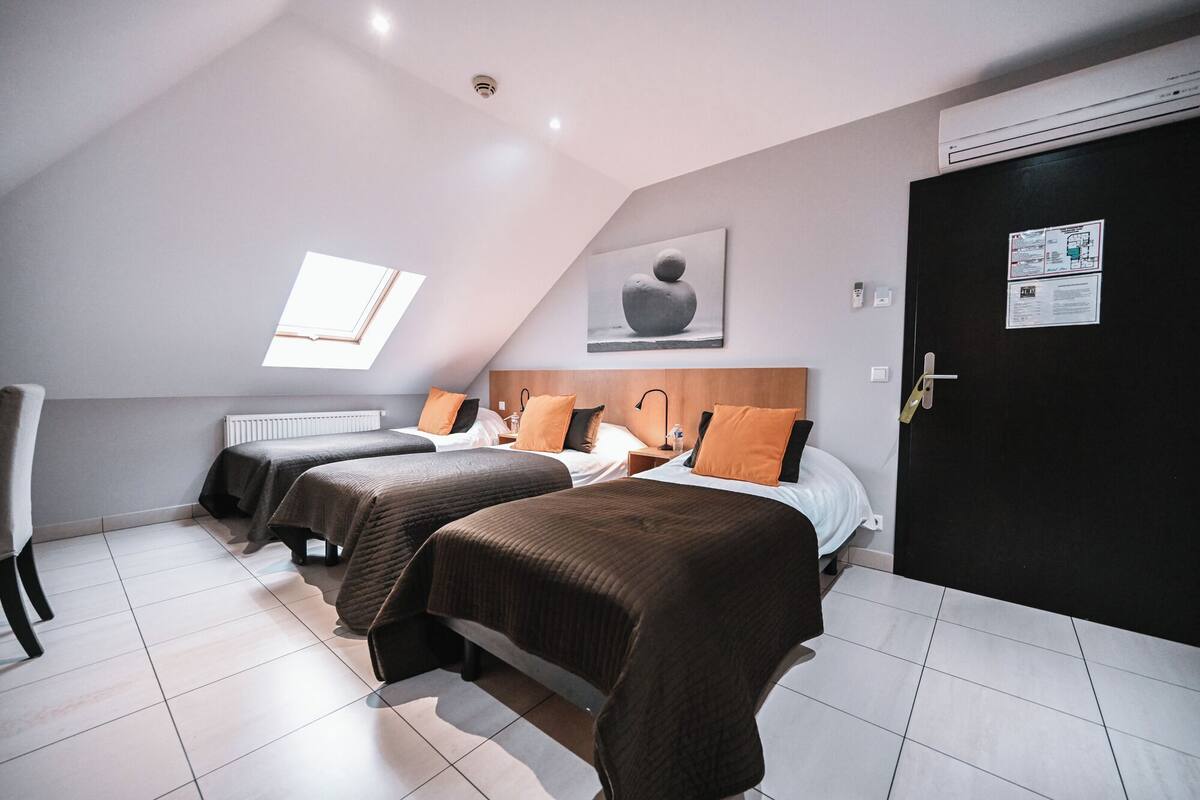 A modern hotel room with two single beds, a skylight, a black door, and a white radiator.