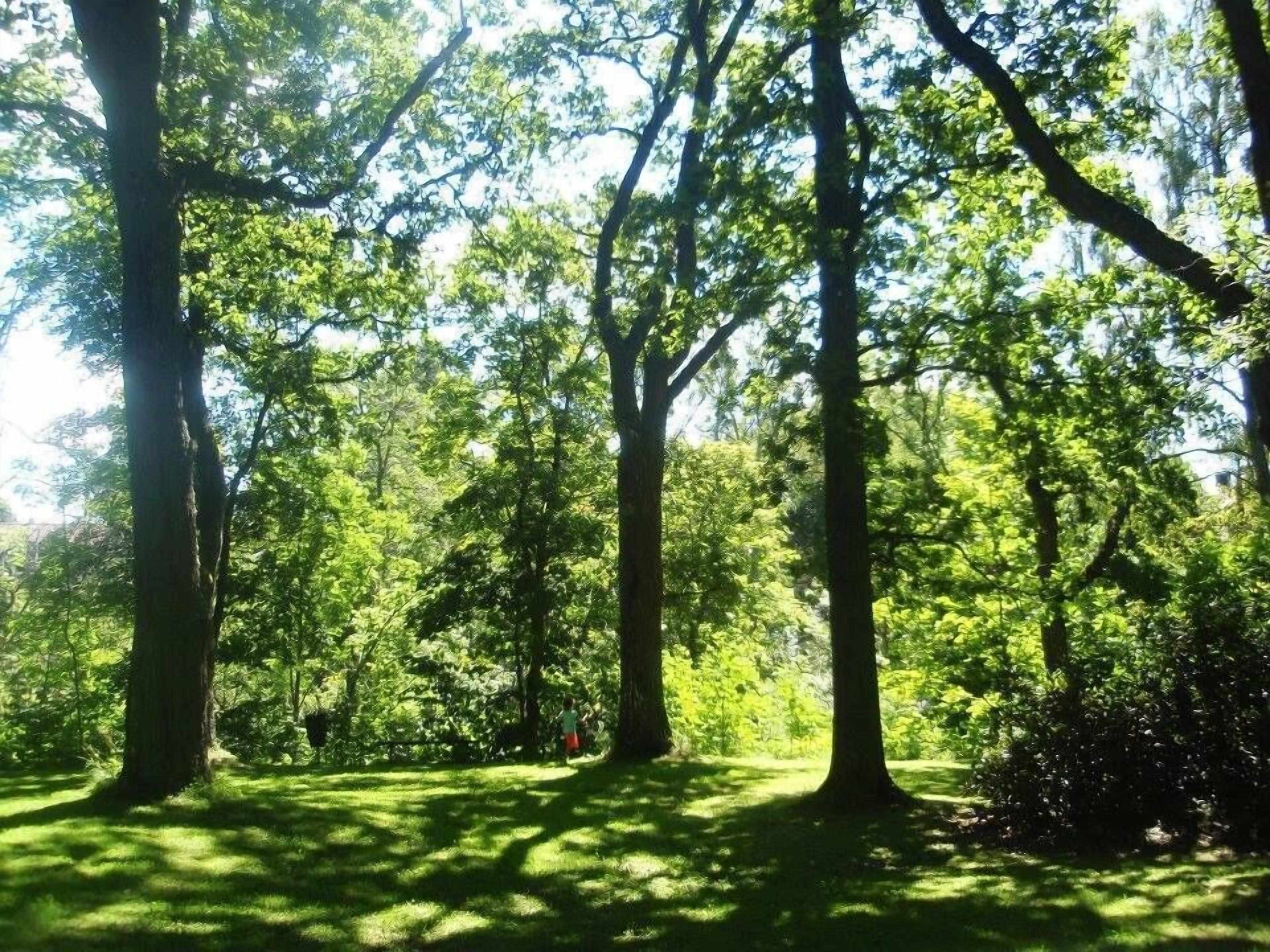 children’s activities