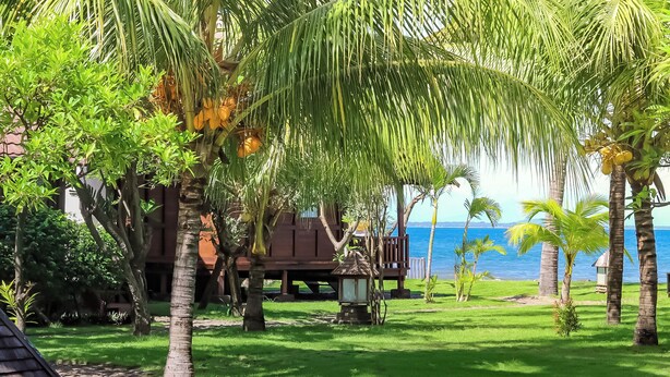 A tropical garden with a wooden structure, palm trees, and a view of the sea. - Mina Tanjung Hotel (Tanjung)