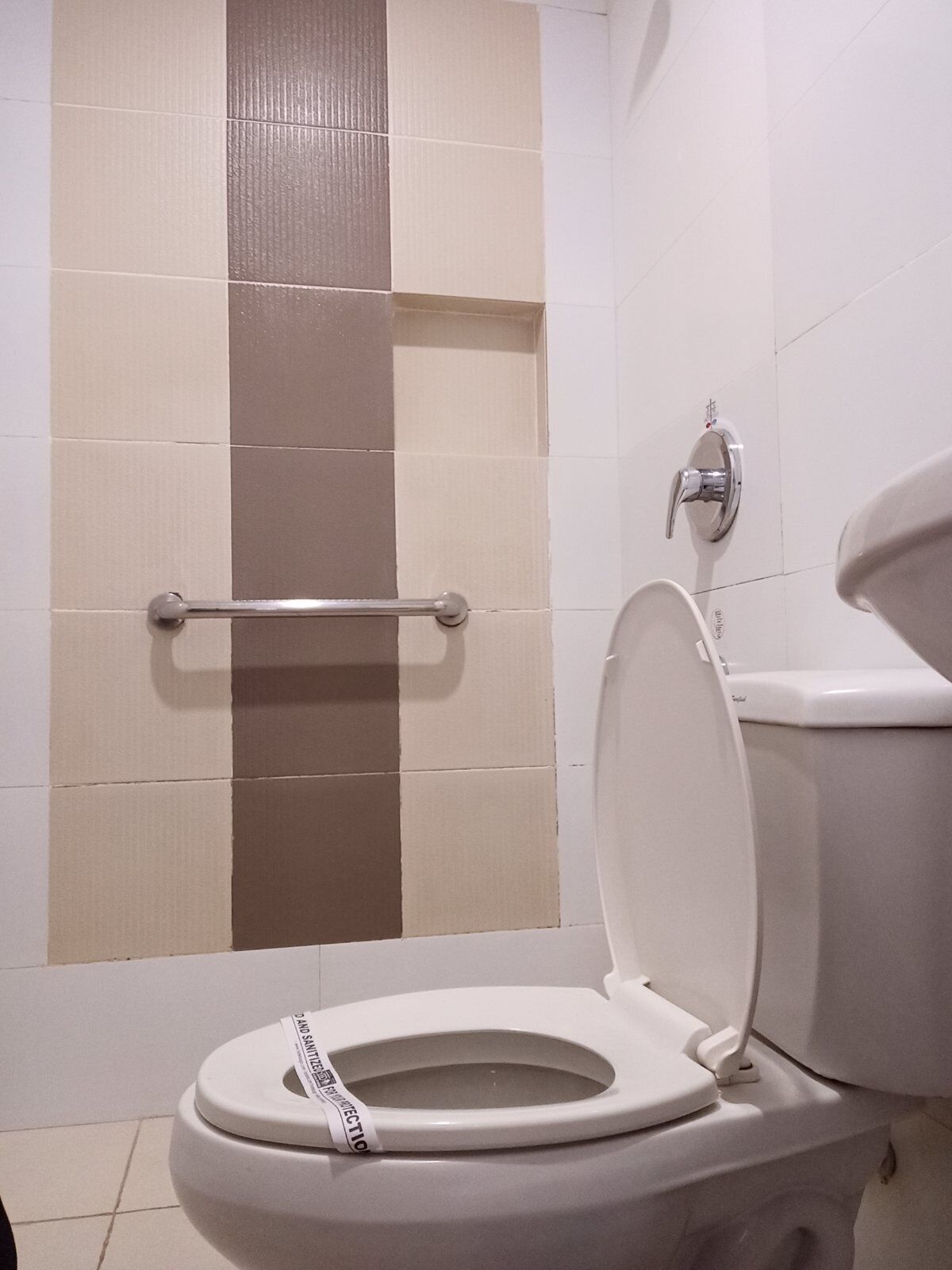 A bathroom with a white toilet, a handrail, and a shower area.