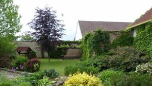 Un jardin où l’on trouve une grande variété de plantes et un banc en bois.