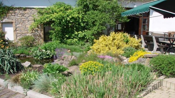 Un jardin avec un étang, différentes plantes et un mur de pierre.