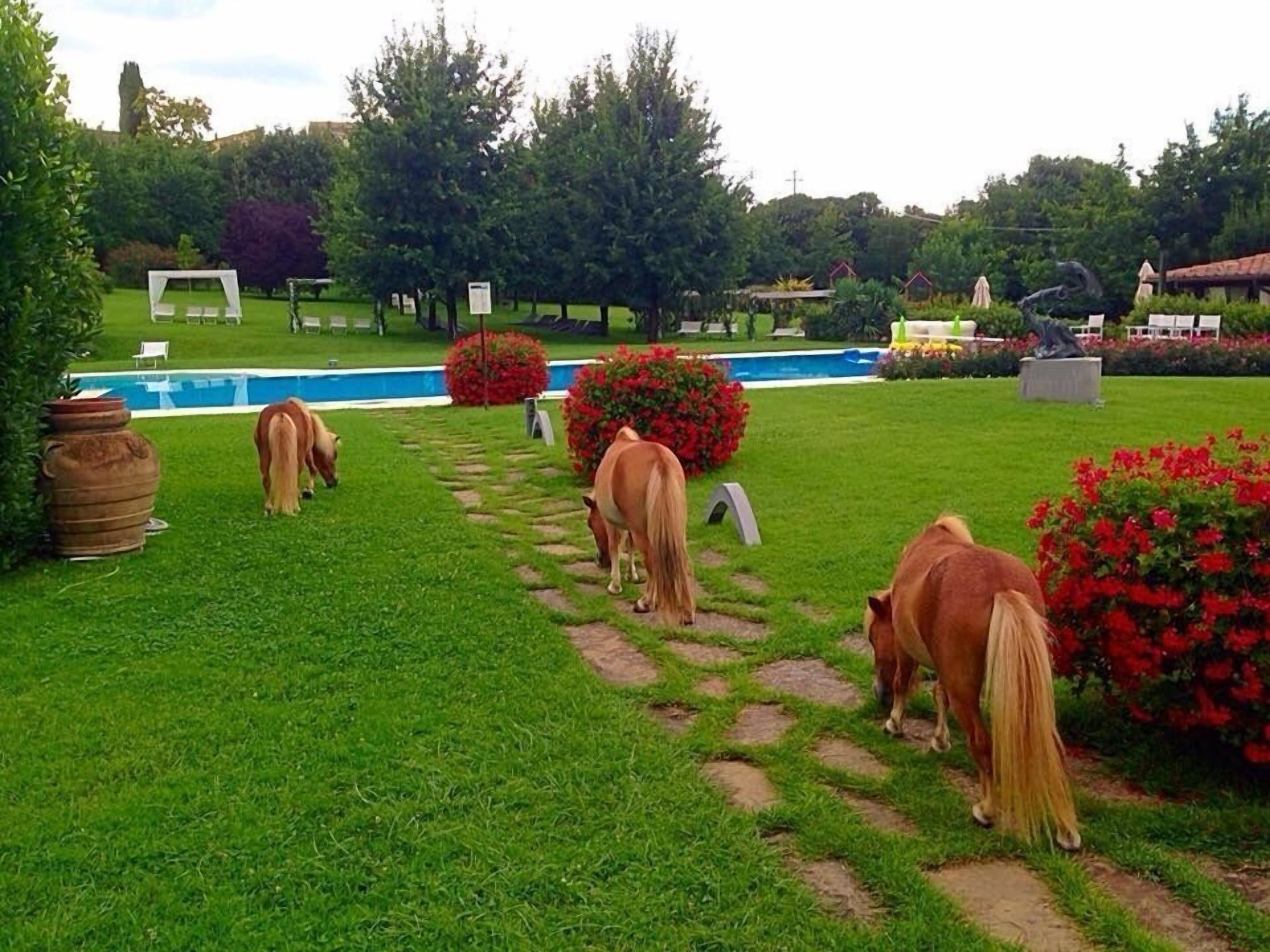 Ein Garten mit Pool, einem Spazierweg und weidenden Pferden.