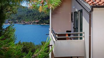 One-Bedroom Apartment with Balcony | Balkongutsikt