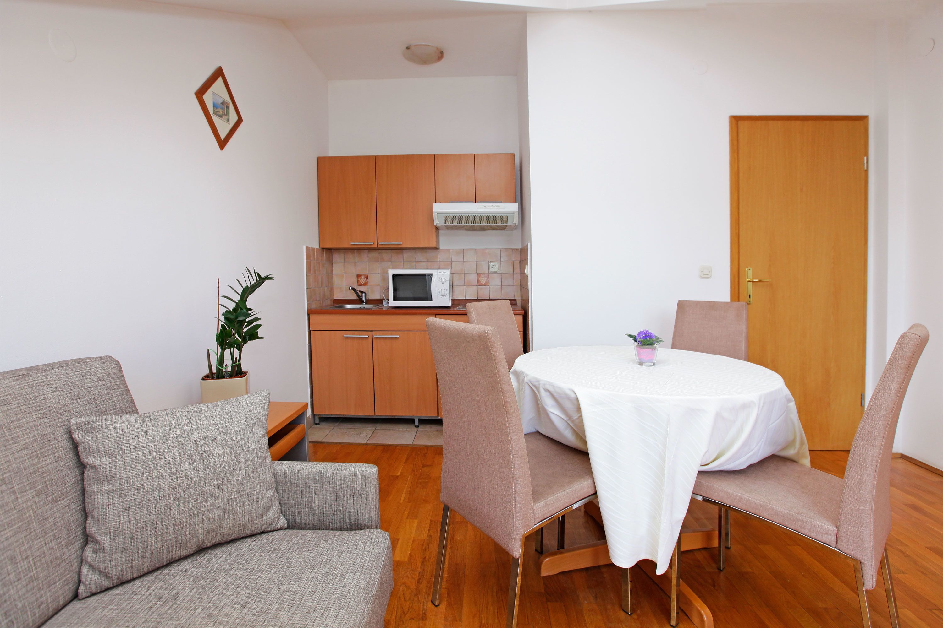 A compact living space with a kitchenette, a dining area with a table and chairs, a sofa, and a potted plant.