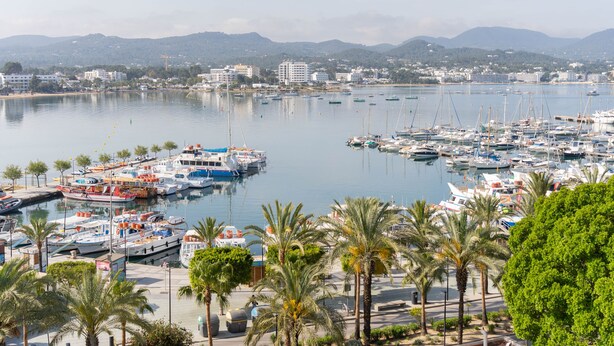 Un puerto deportivo con barcos amarrados, rodeado de palmeras y edificios al fondo.