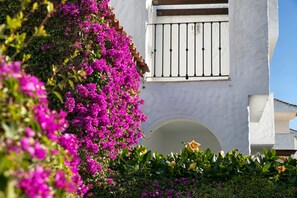 Garden - Apartamentos Ona Club Bena Vista (Estepona)