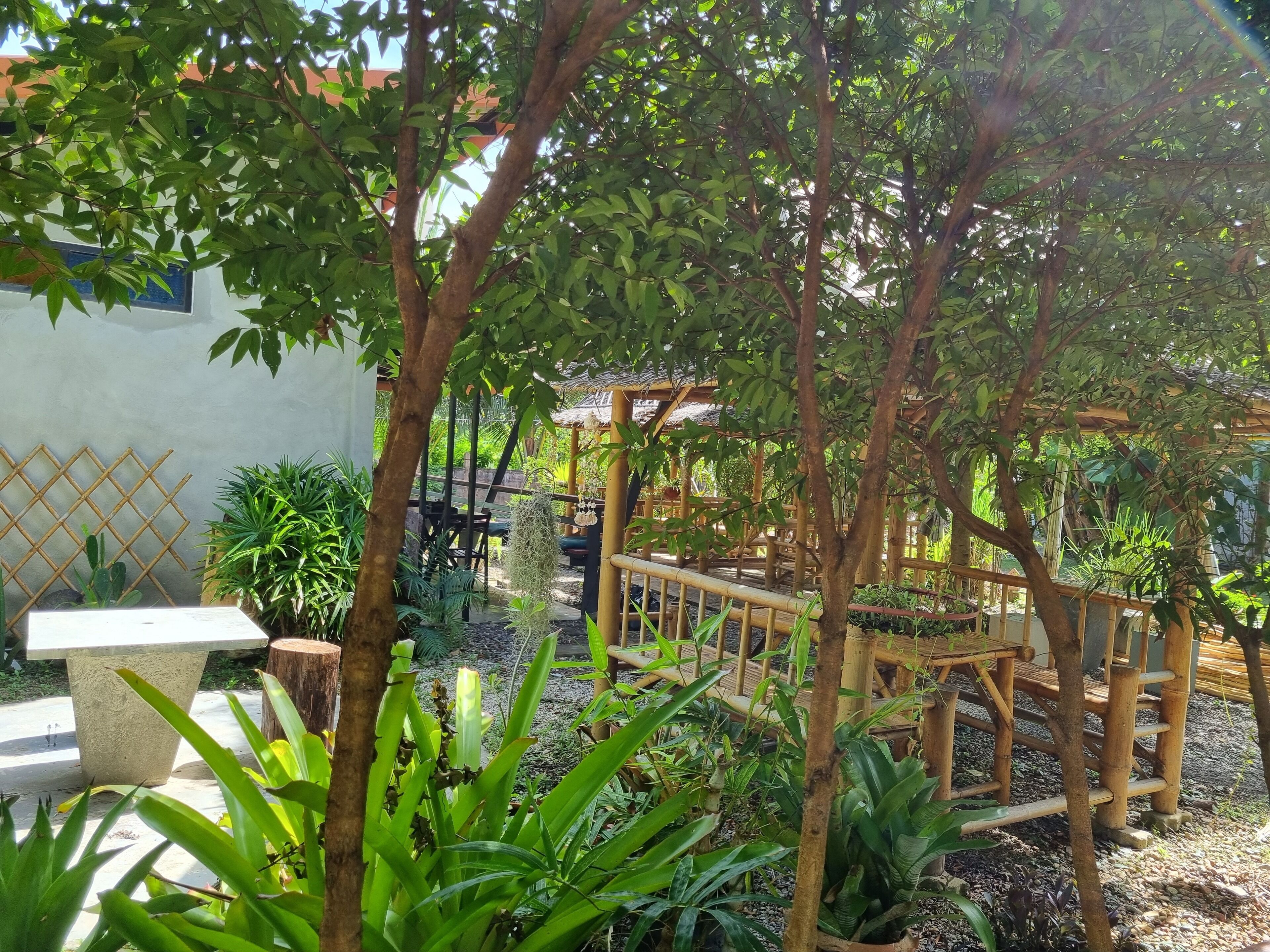 lunch and brunch served