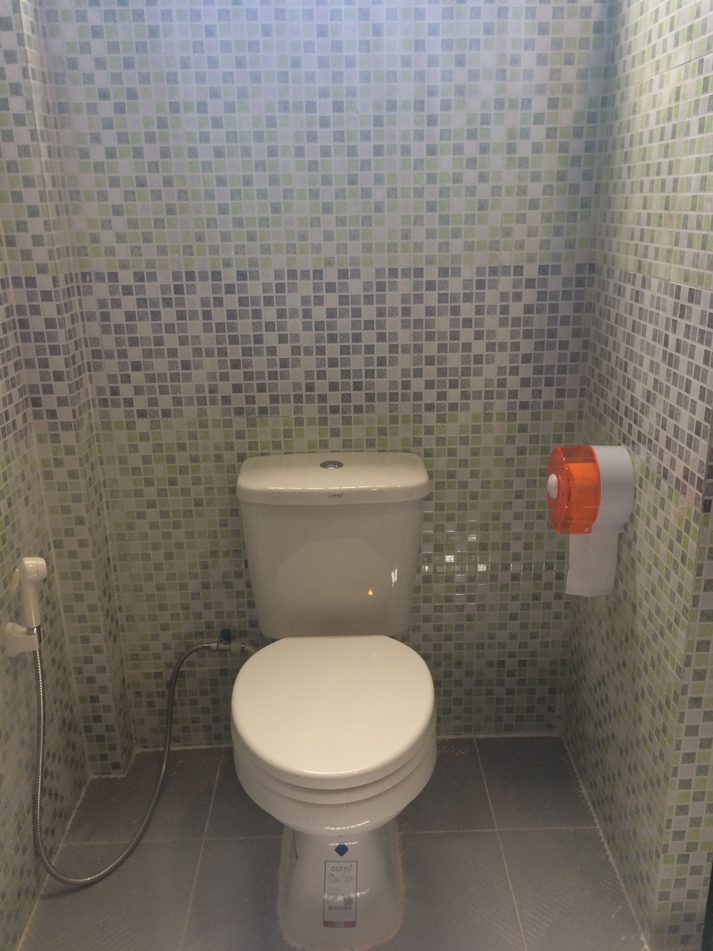shower, free toiletries, hair dryer, bidet