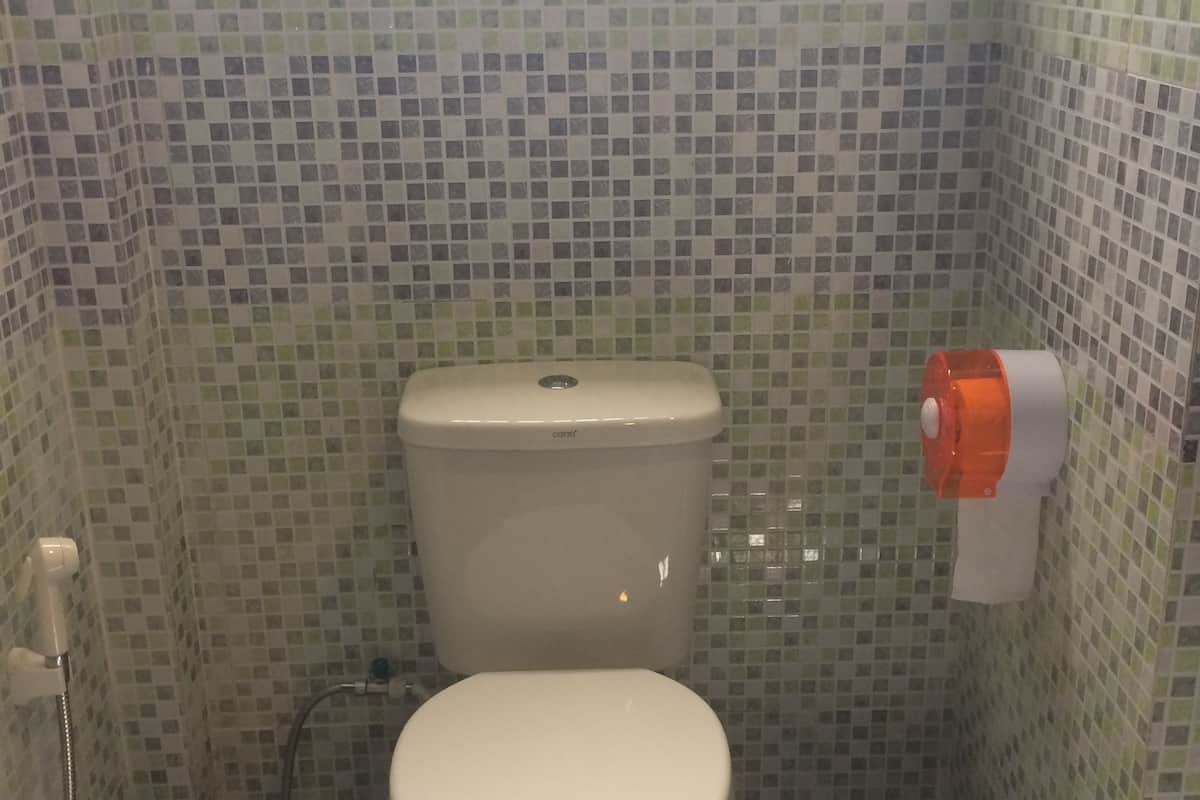 shower, free toiletries, hair dryer, bidet