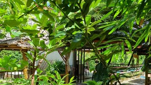 Un jardin agrémenté d’une pergola, d’une table en bois et de diverses plantes.
