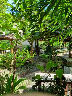 Lunch and brunch served - Riviera Boutique House (Ko Lanta)