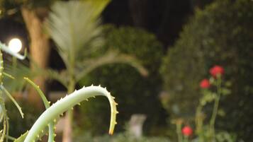 A close-up of a plant with spiky leaves, possibly an aloe vera, in a garden setting with blurred background foliage and a red flower.