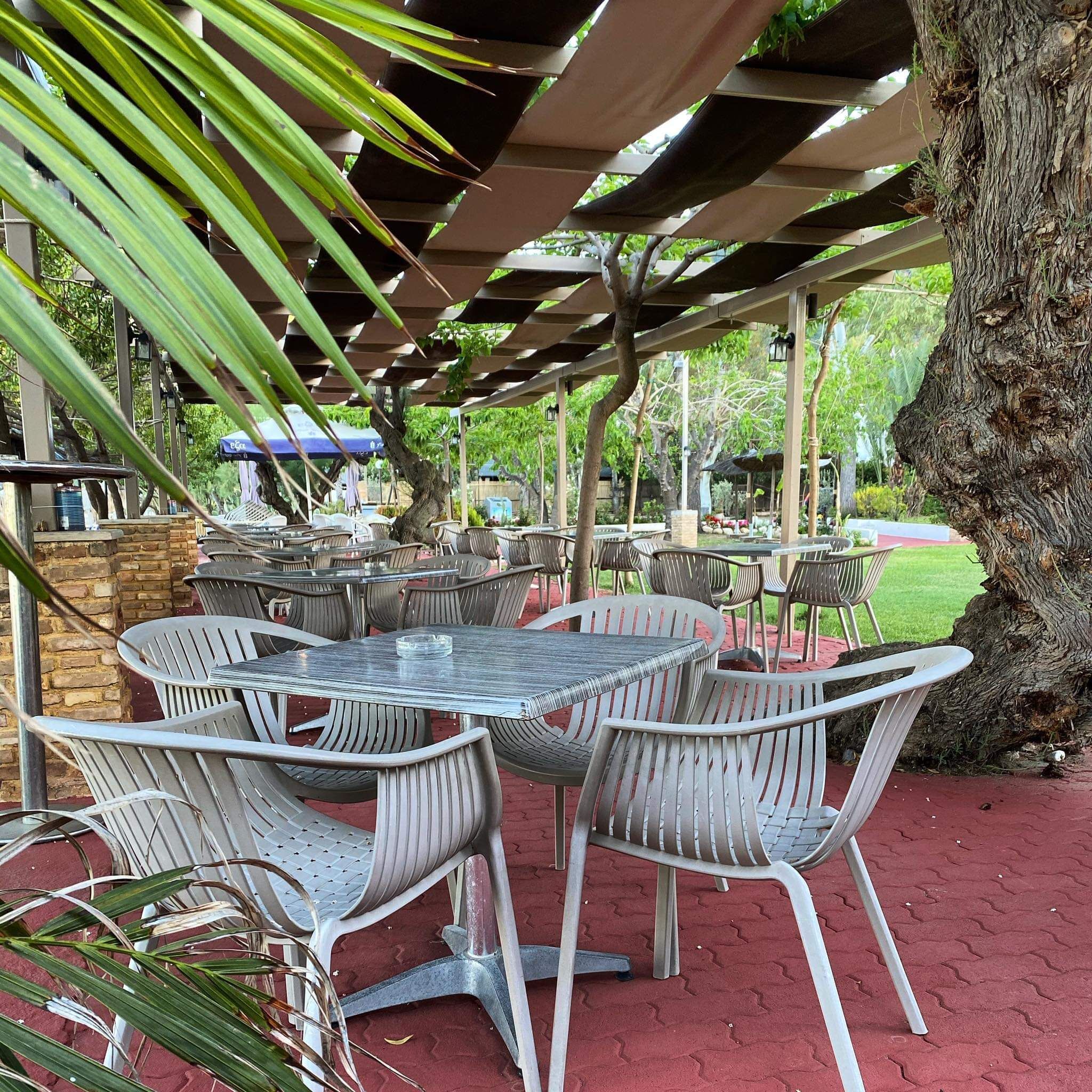 An outdoor patio with metal tables and chairs, a pergola overhead, and a large tree trunk.