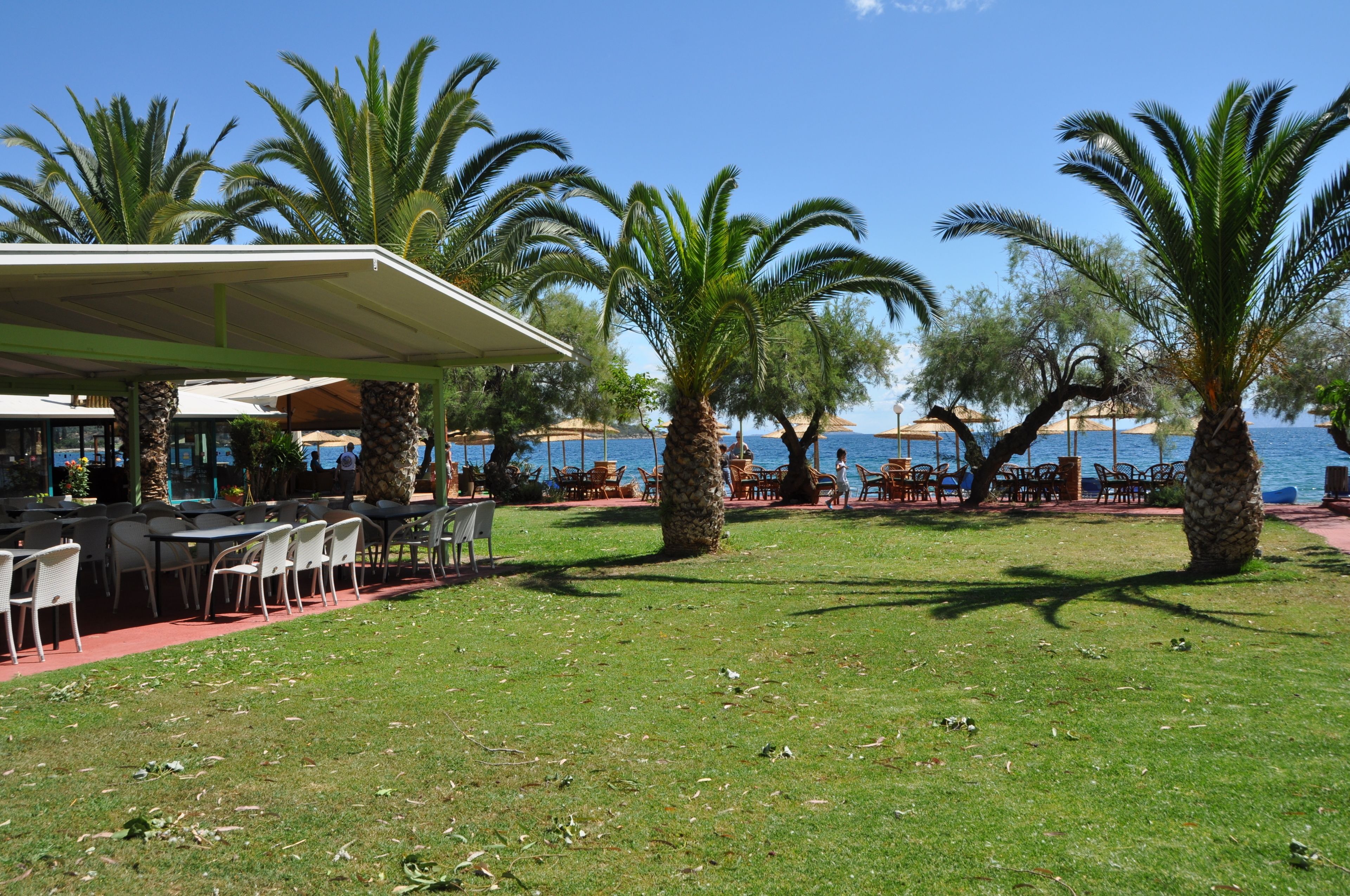 Plage, chaises longues, parasols, bar de plage