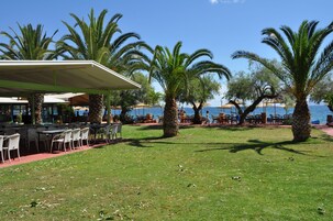 En la playa, sillas reclinables de playa, sombrillas, bar en la playa