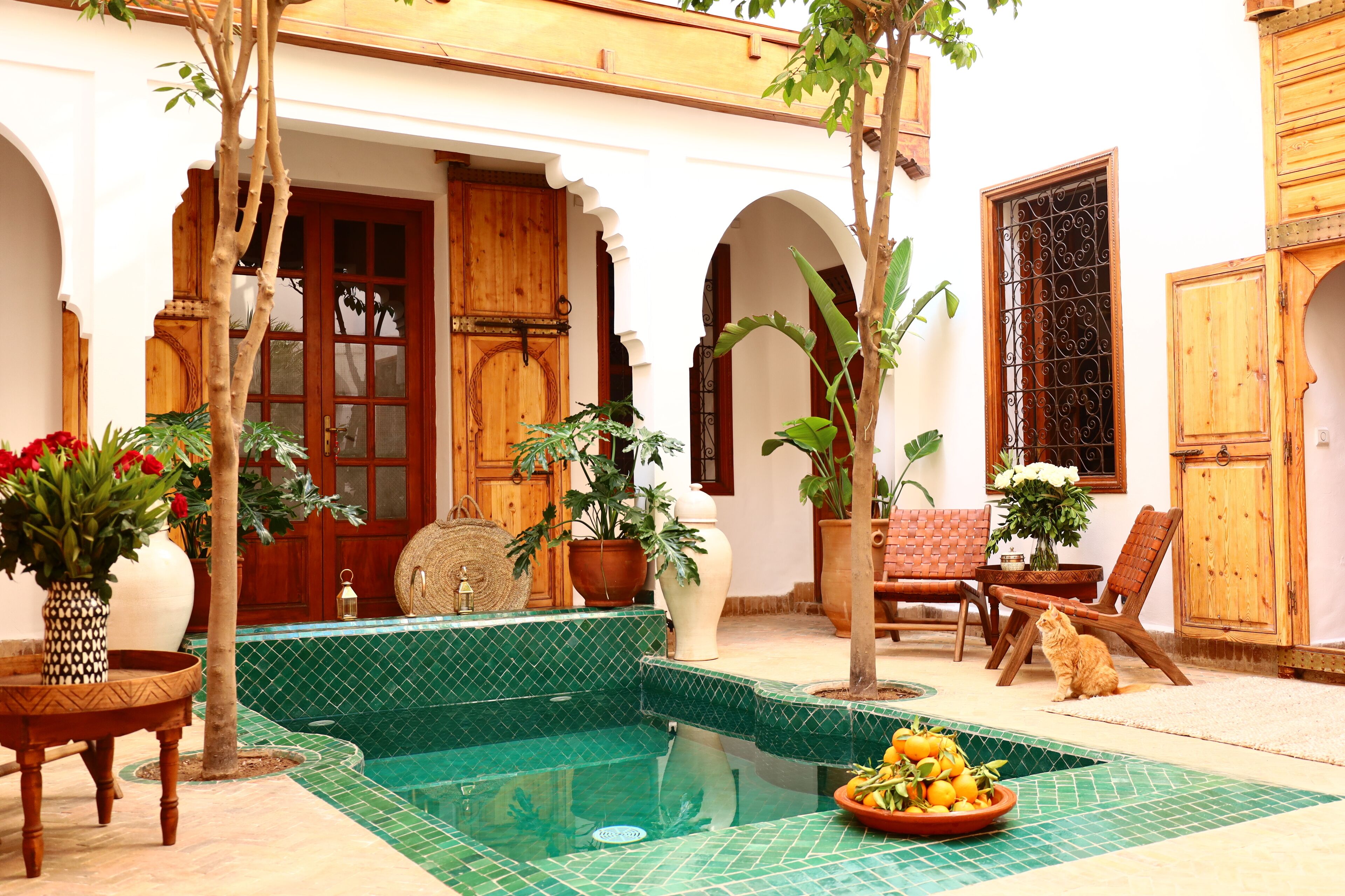 Terraza o patio