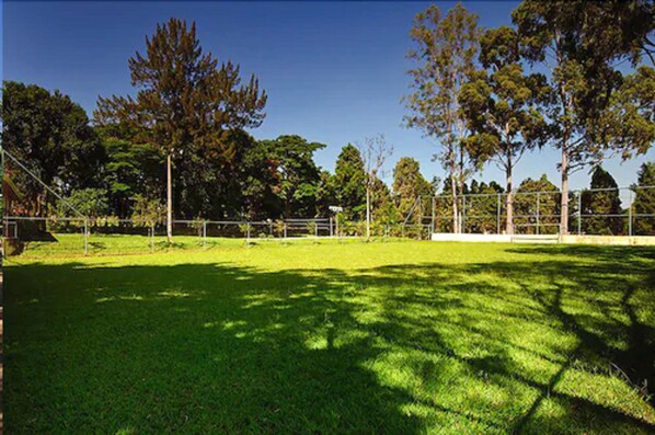 Zona verde cercada con árboles y cielo despejado.