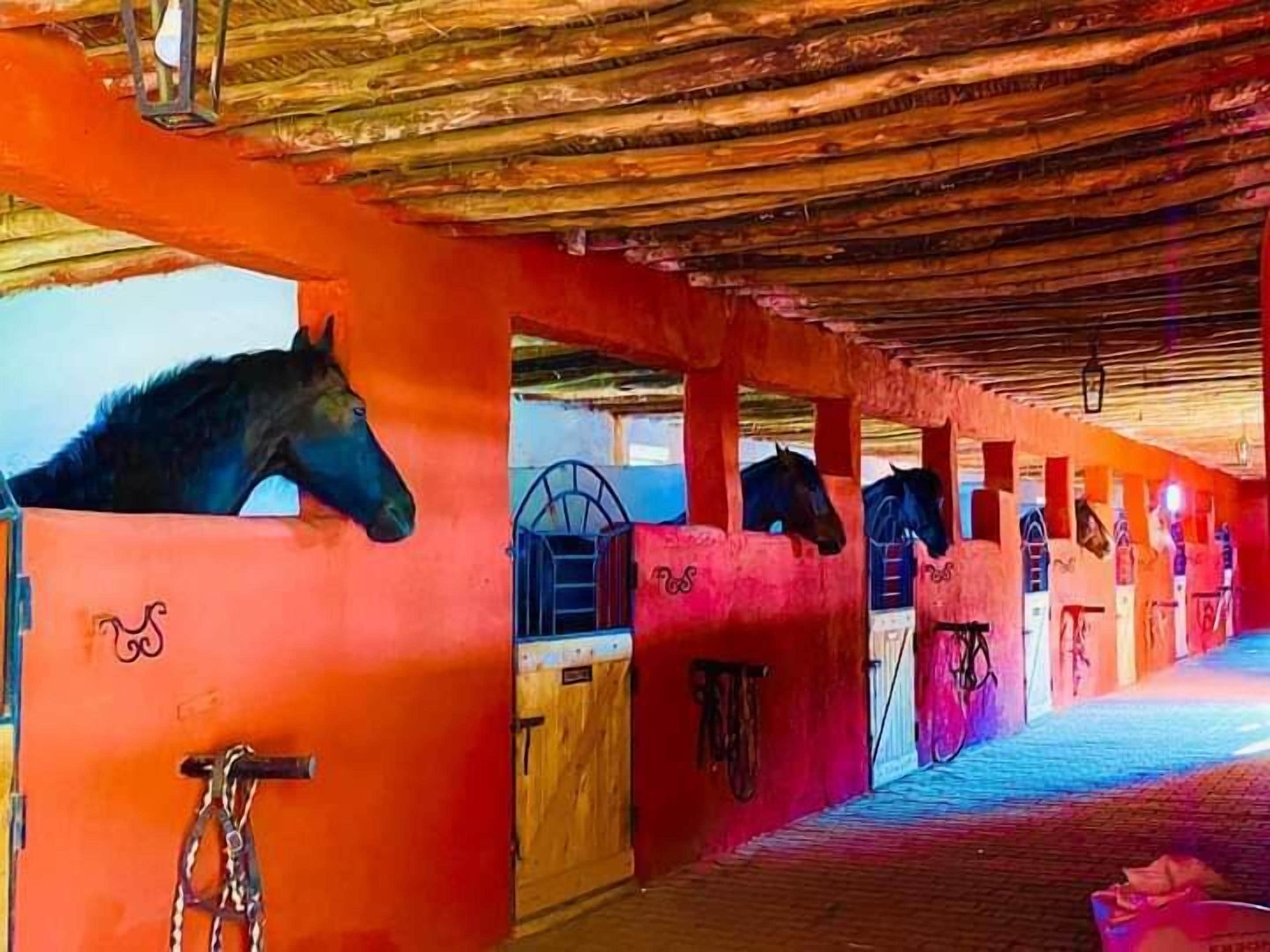 Photo - Le Relais De Marrakech