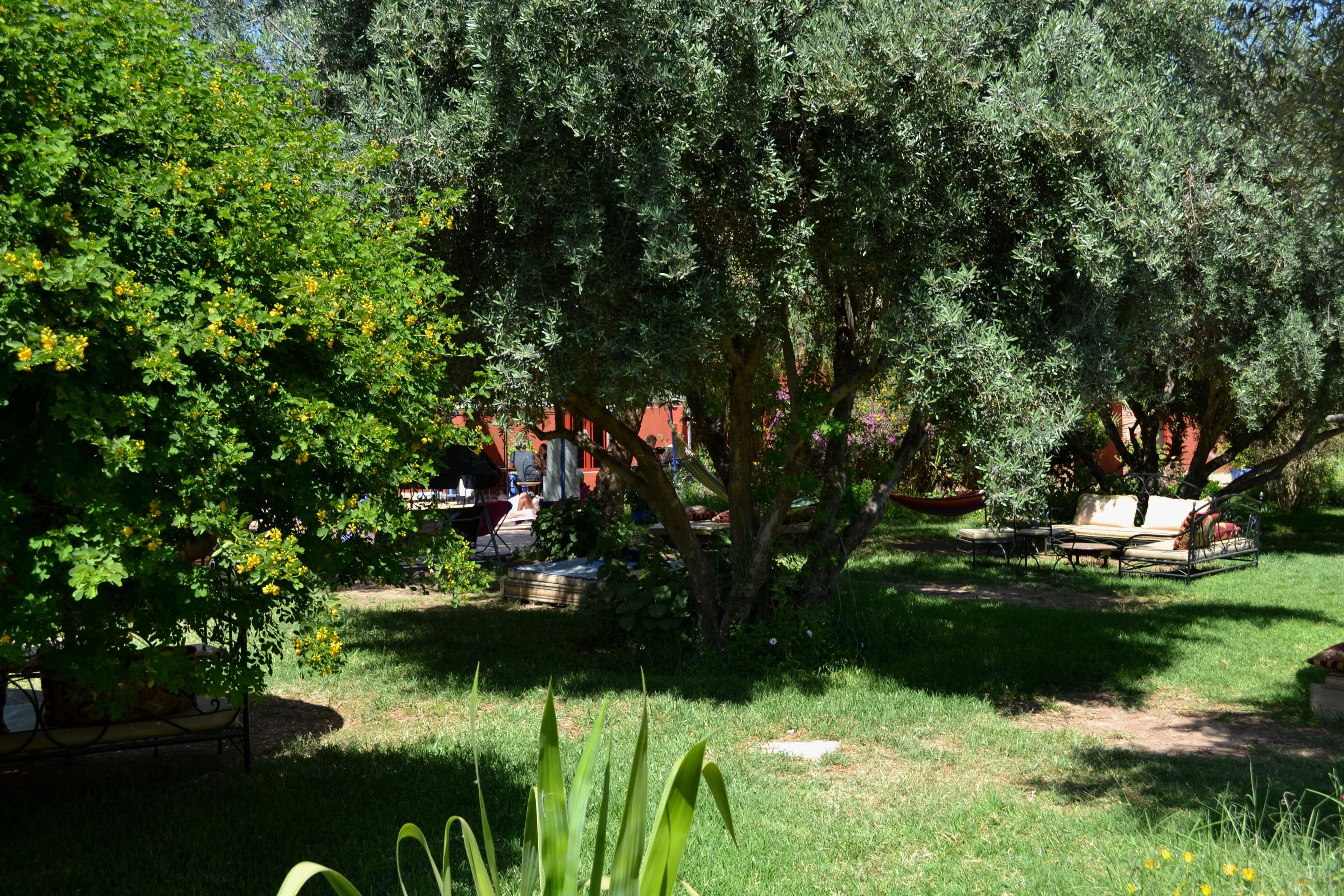 Un jardín con zona de estar, árboles y un sendero.
