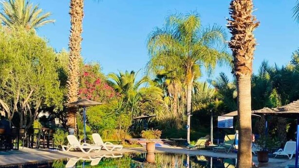 A pool area with lounge chairs and palm trees. - Le Relais De Marrakech (Marrakech)