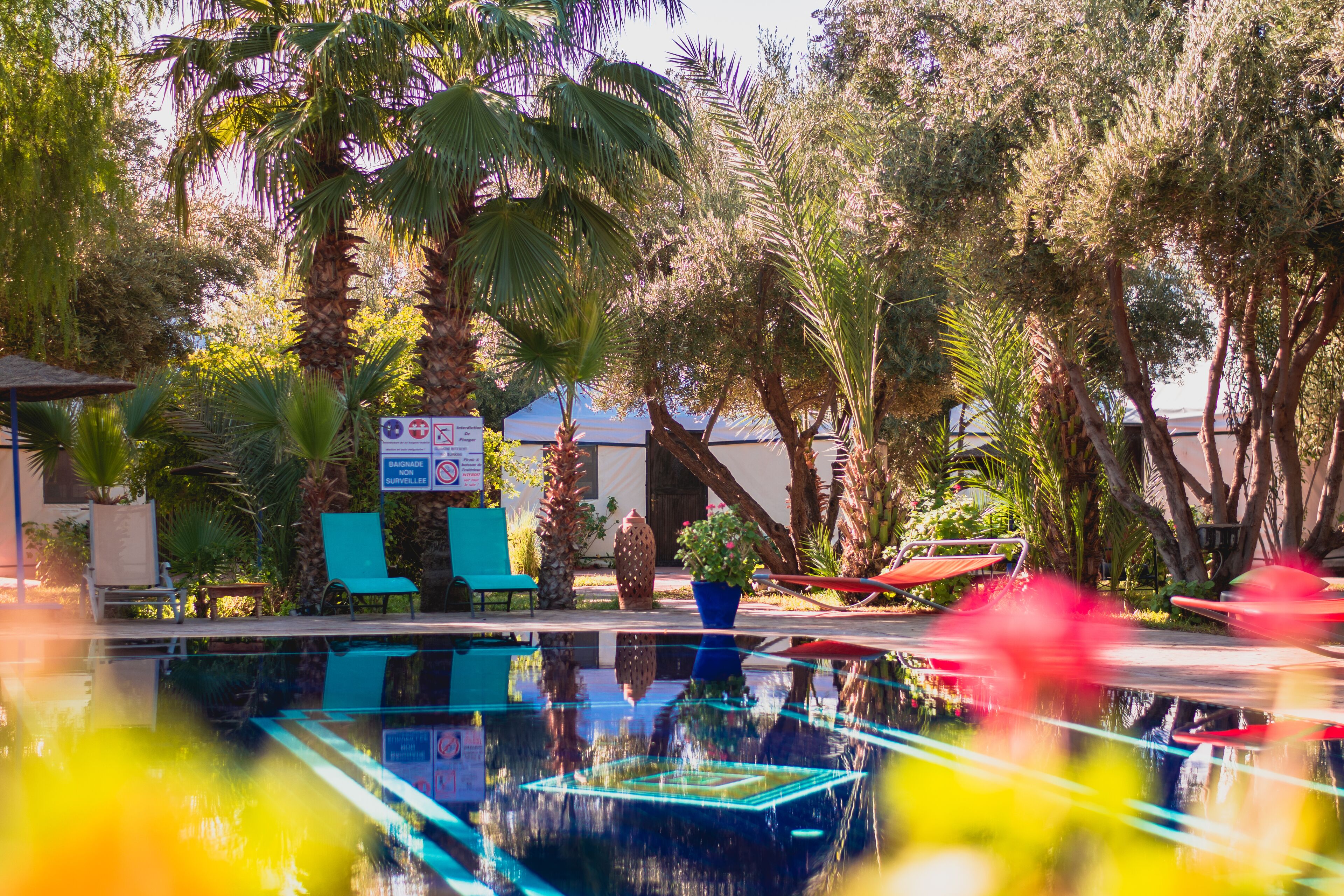 A pool area with lounge chairs, a palm tree, and a sign indicating surveillance.