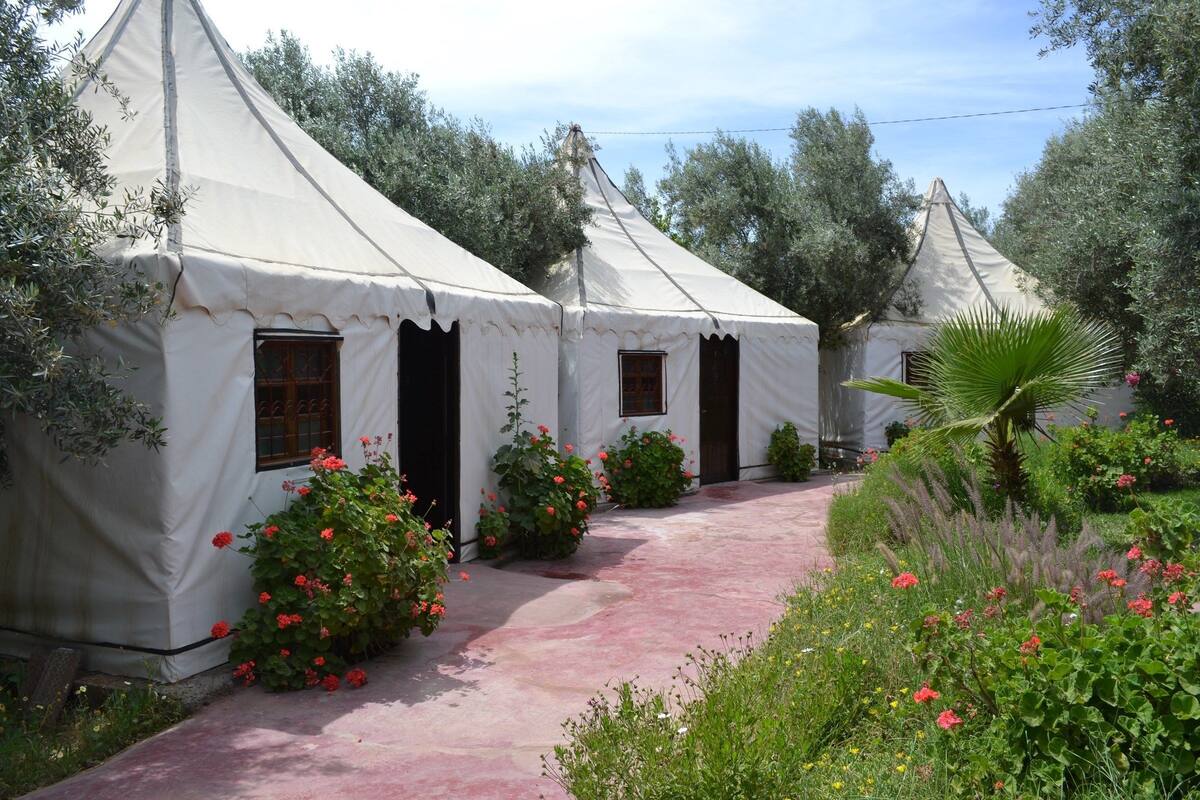 Una hilera de carpas blancas con ventanas y puertas, rodeada por un jardín con diversas plantas y flores.