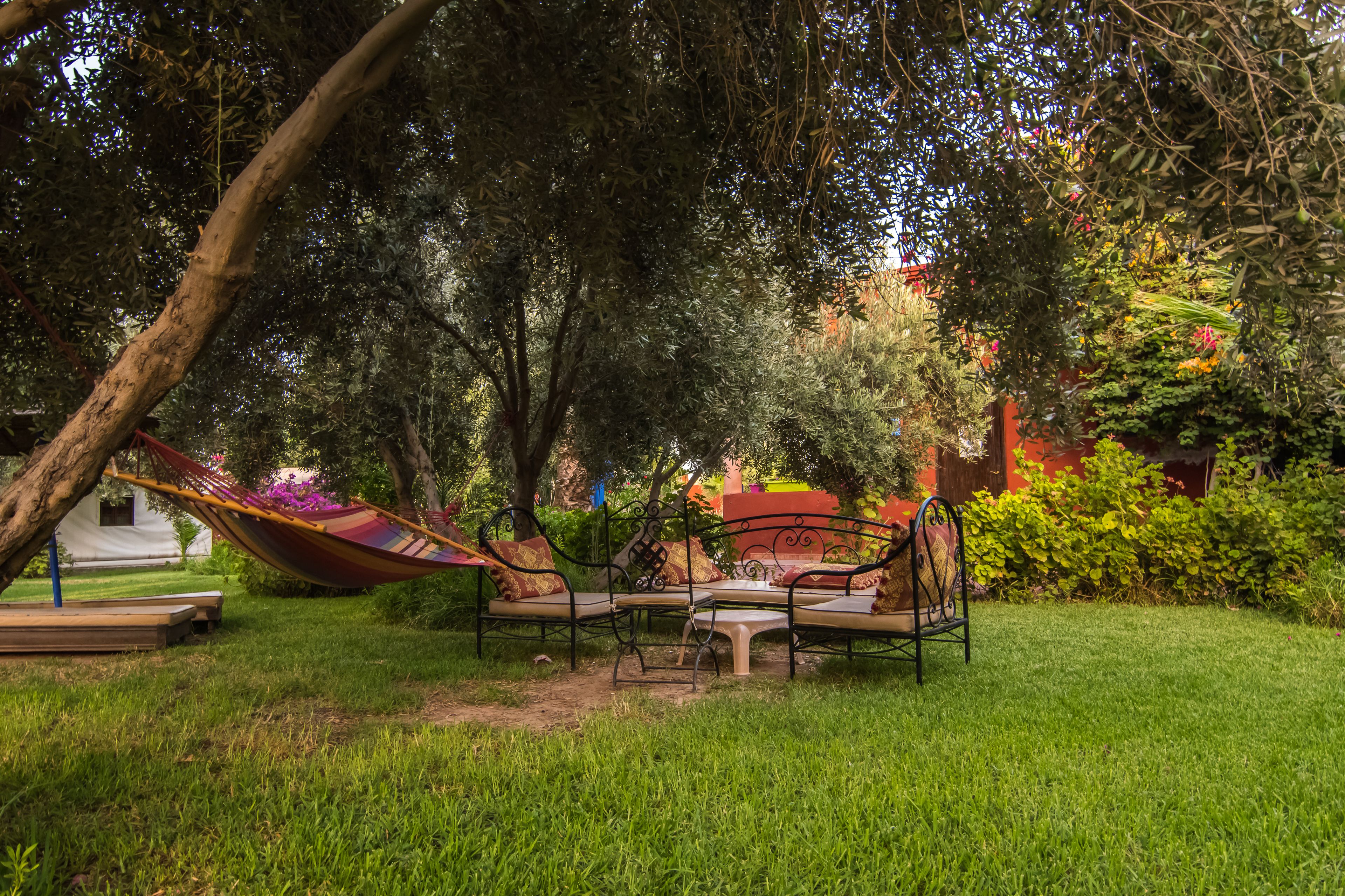 A garden with a hammock, a table, and two chairs.