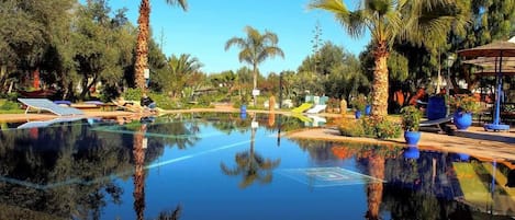 Outdoor pool, open 8:00 AM to 8:00 PM, pool umbrellas, sun loungers