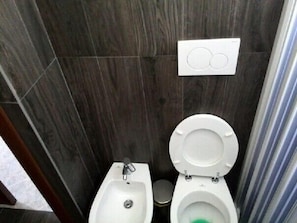 Shower, hair dryer