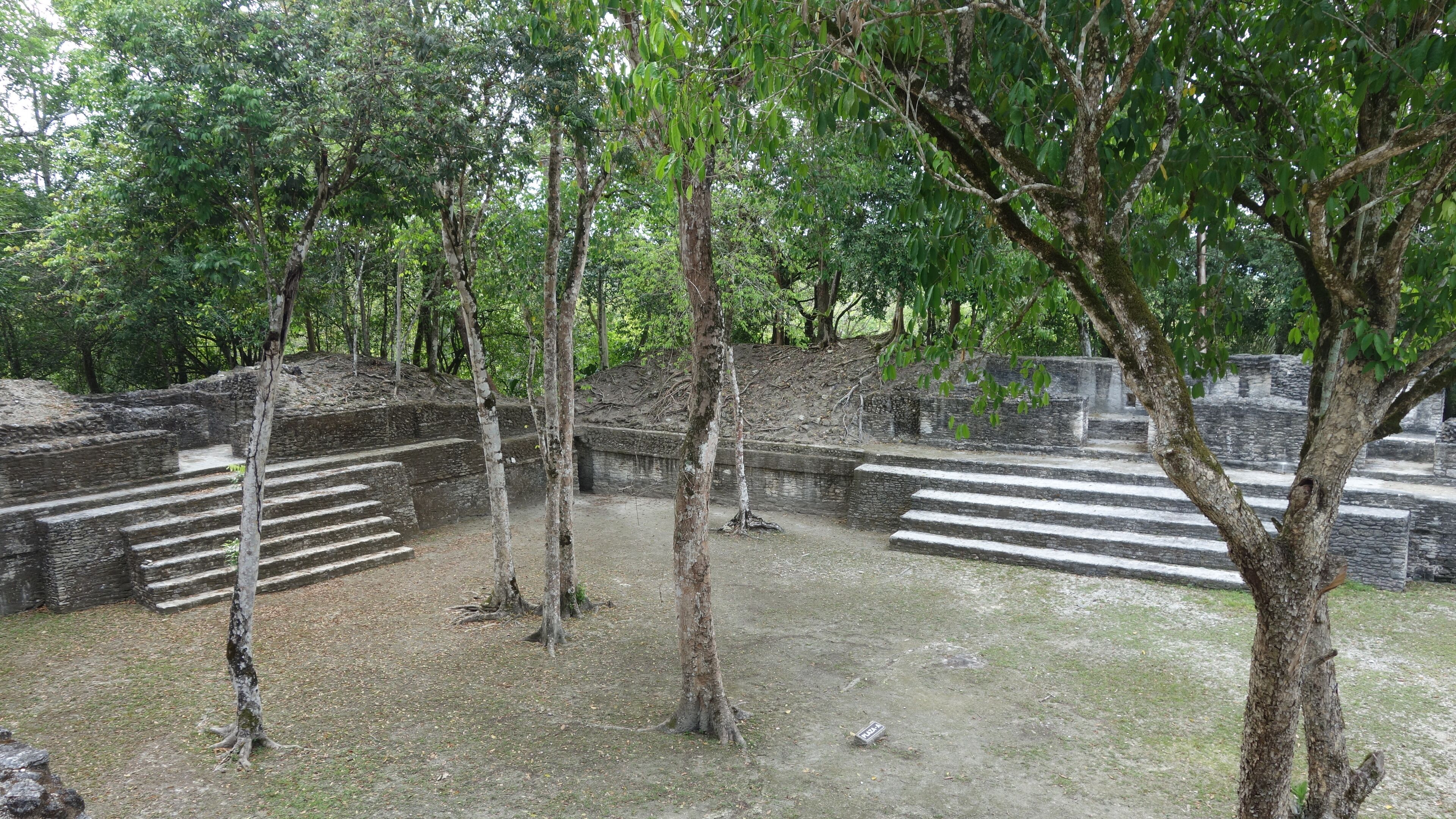 Ancient stone steps leading up to a stone structure surrounded by trees.