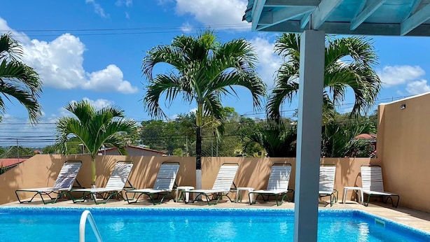 Une piscine d’un bleu éclatant, bordée de carreaux, entourée de chaises longues et de palmiers, le tout abrité sous une structure.