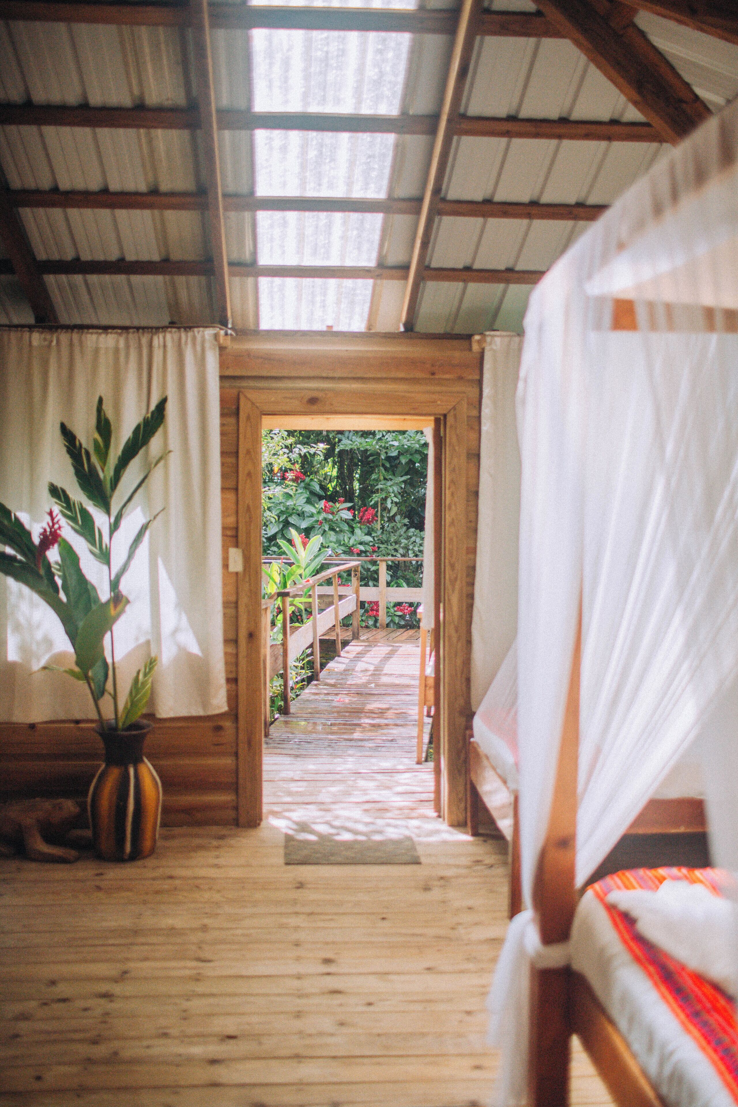 A wooden room with a bed, a potted plant, and a wooden staircase leading to an outdoor area with a wooden railing.